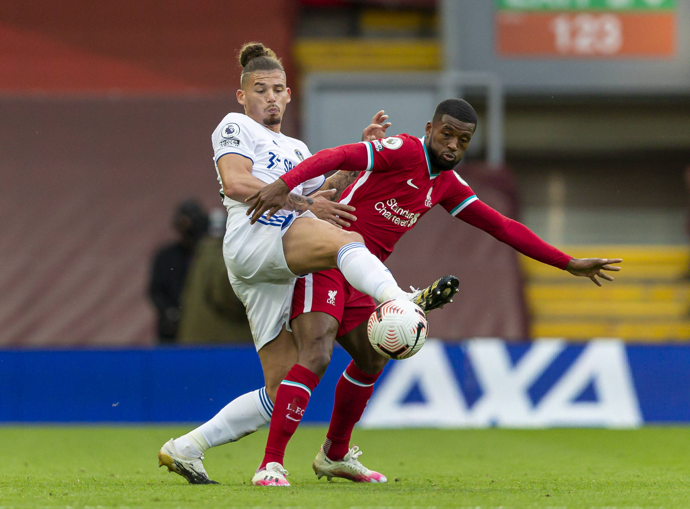 目的运动 目的运动