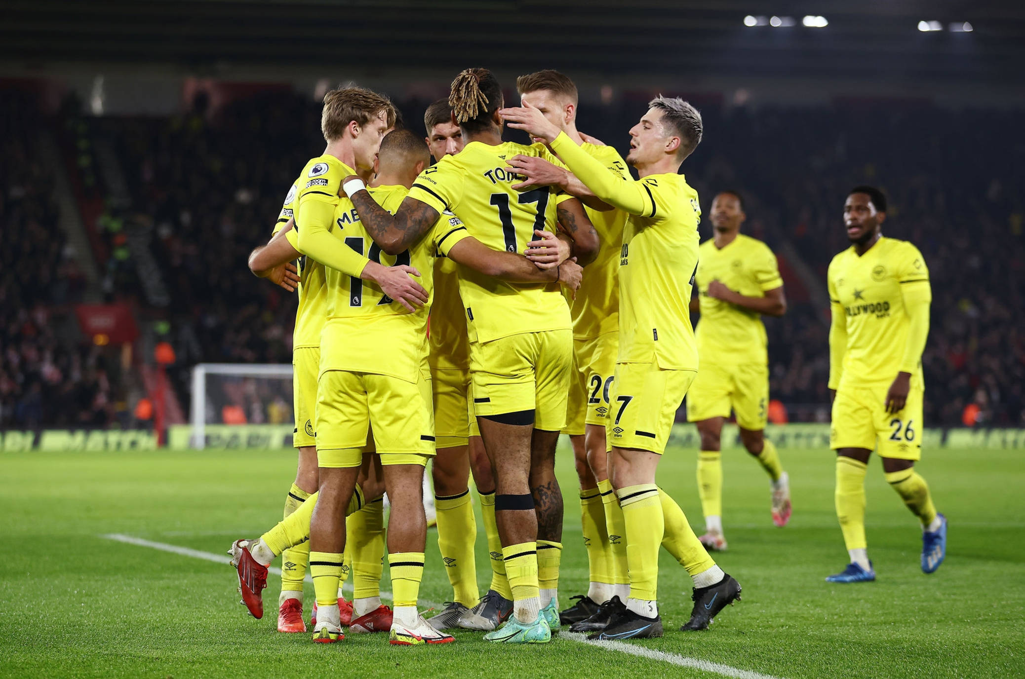 着天然的亲 着天然的亲