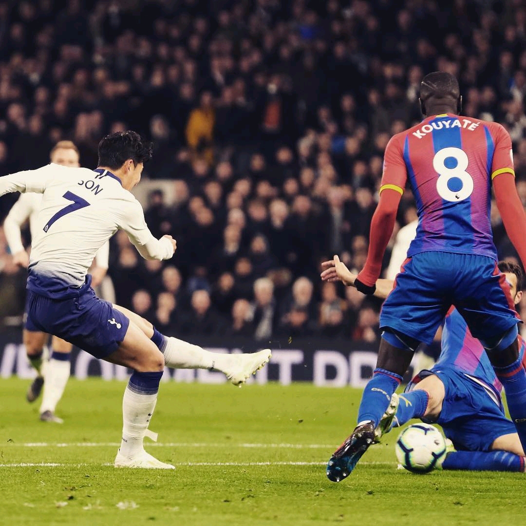 的运动员 的运动员